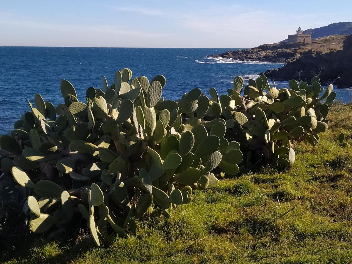 El Port De La Selva Apartament Port De La Selva מראה חיצוני תמונה