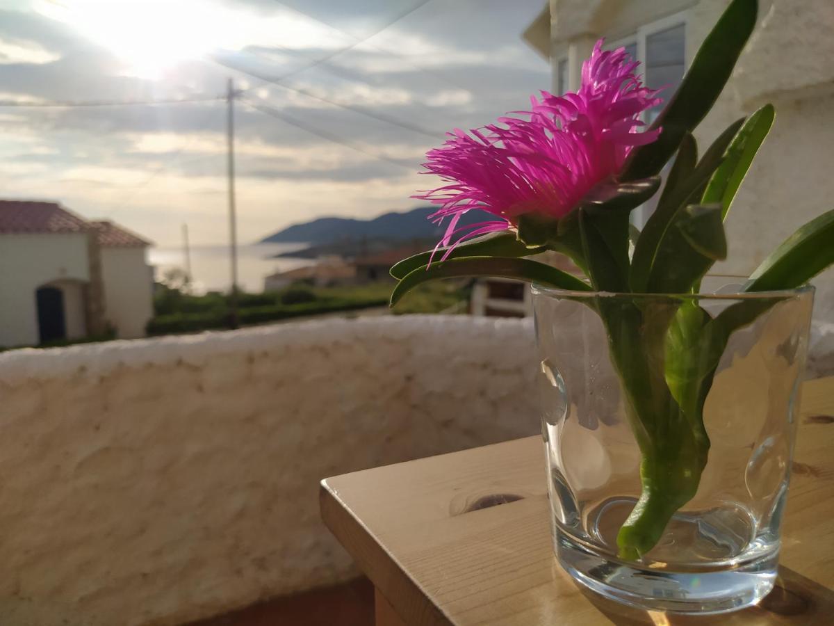 El Port De La Selva Apartament Port De La Selva מראה חיצוני תמונה